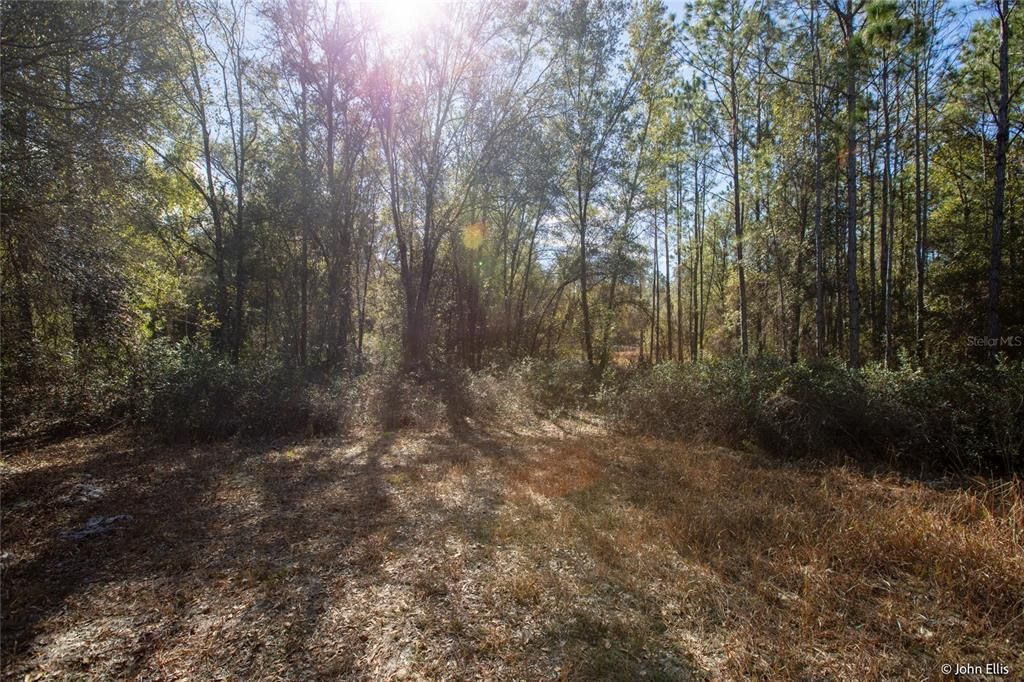 待售: $25,000 (0.68 acres)