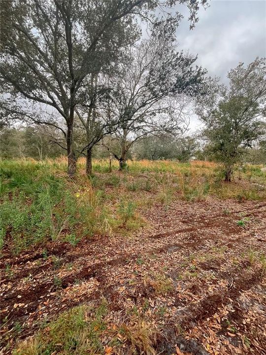 For Sale: $99,900 (1.45 acres)