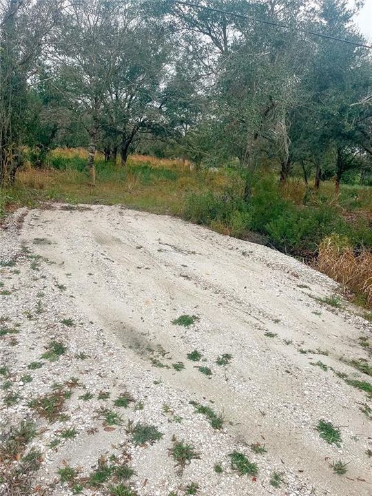 For Sale: $99,900 (1.45 acres)