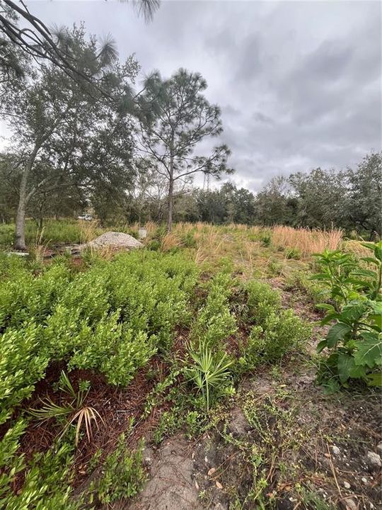 For Sale: $99,900 (1.45 acres)