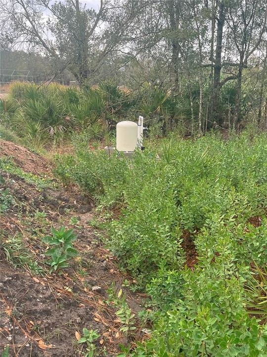 For Sale: $99,900 (1.45 acres)