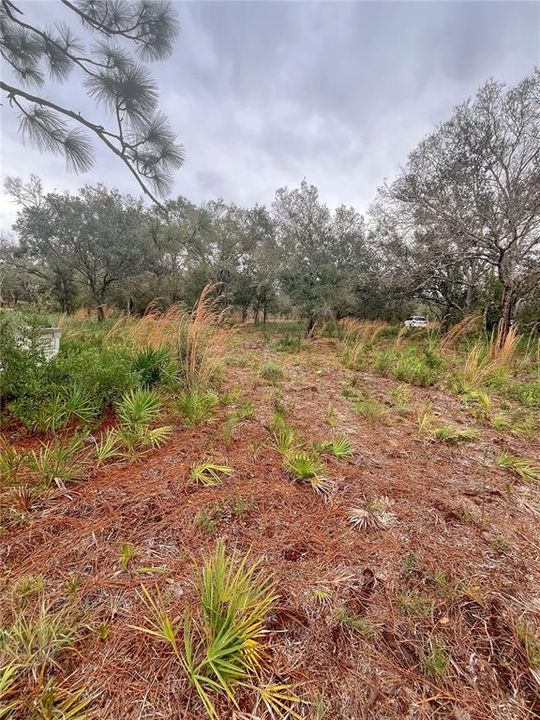 For Sale: $99,900 (1.45 acres)