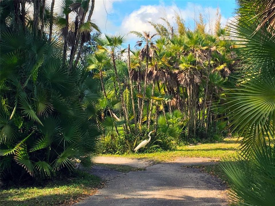 На продажу: $1,150,000 (2.00 acres)