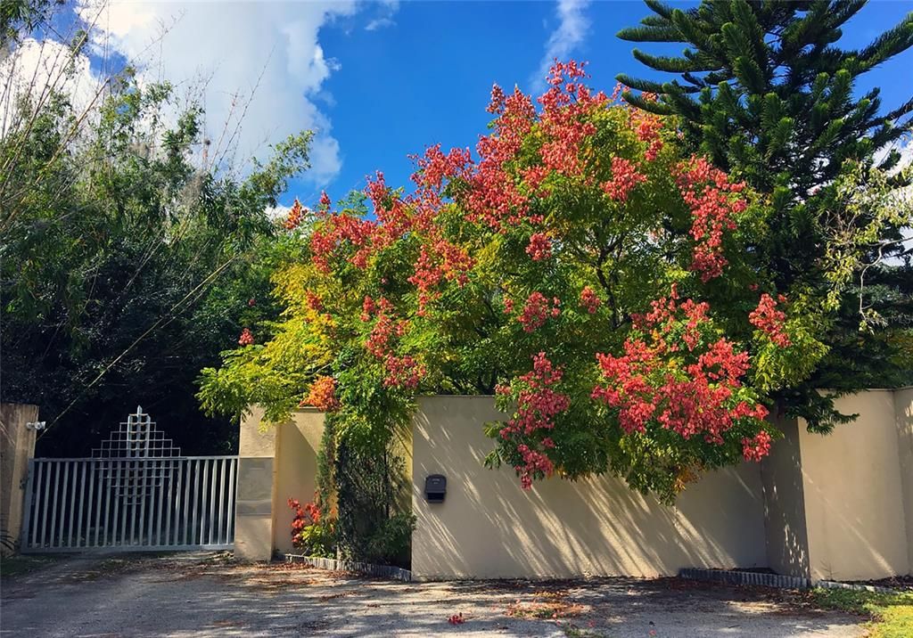 На продажу: $1,150,000 (2.00 acres)