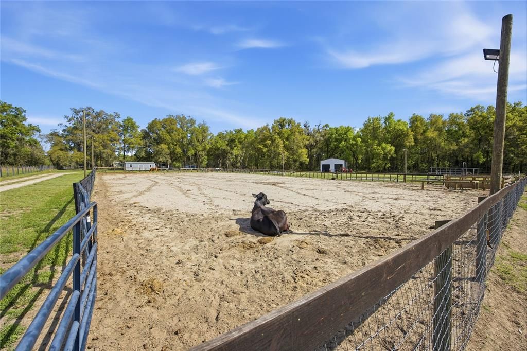 En Venta: $520,000 (10.28 acres)