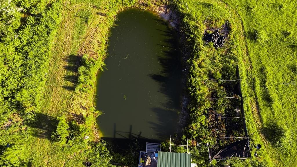 На продажу: $399,000 (5.05 acres)