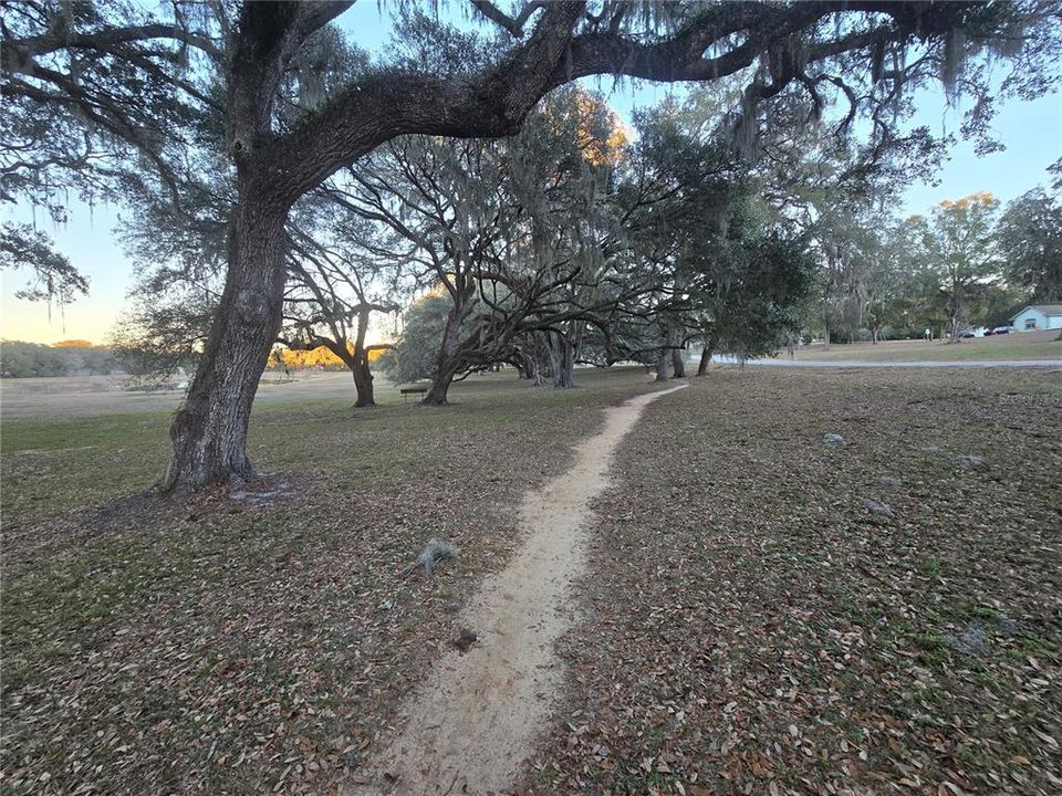 For Sale: $165,000 (3.41 acres)