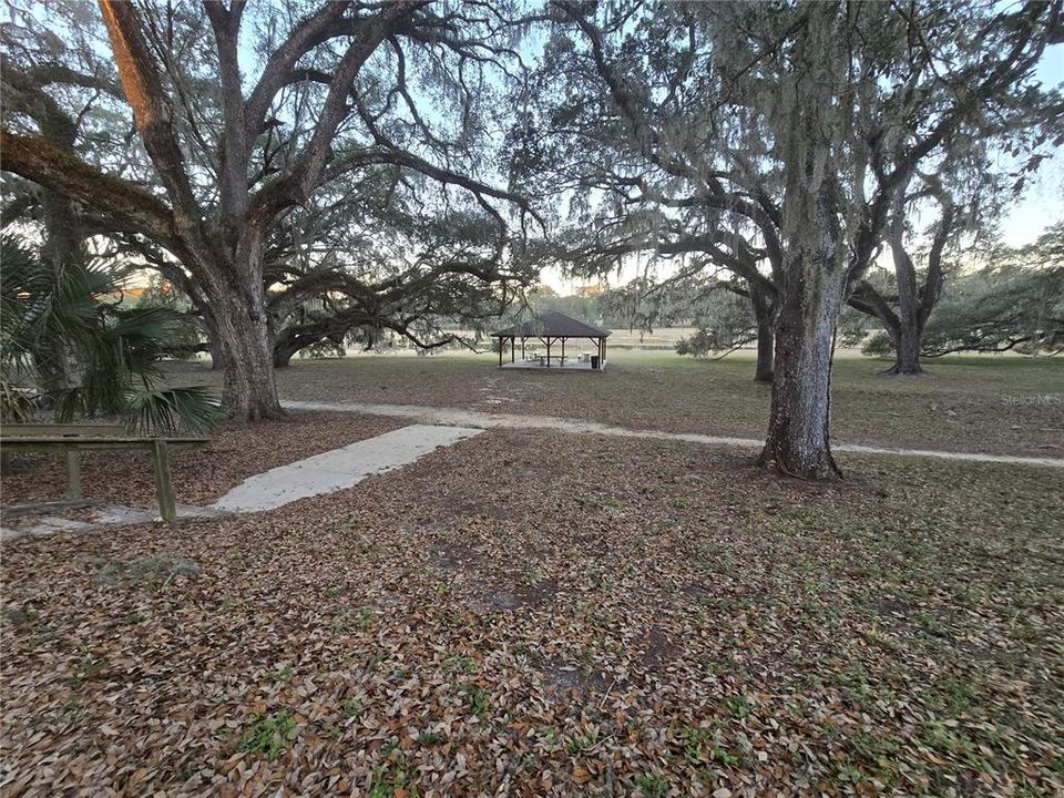 For Sale: $165,000 (3.41 acres)
