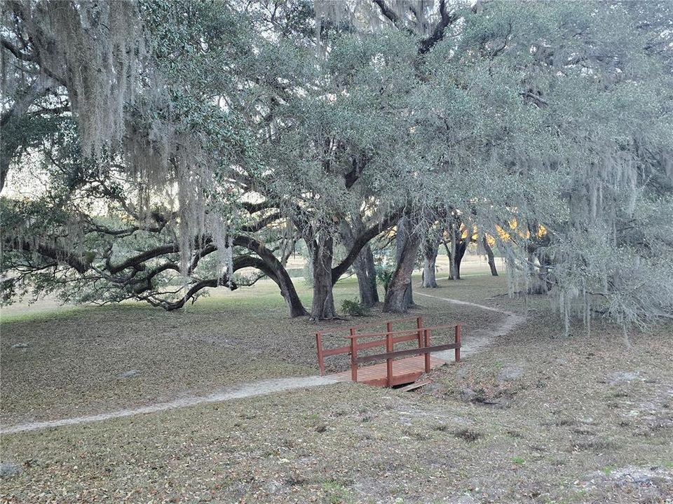 For Sale: $165,000 (3.41 acres)