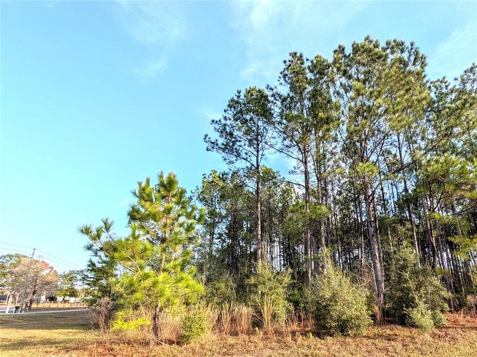 待售: $52,500 (1.11 acres)