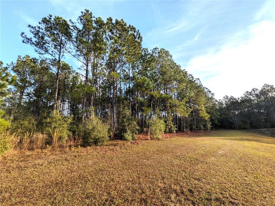 待售: $52,500 (1.11 acres)