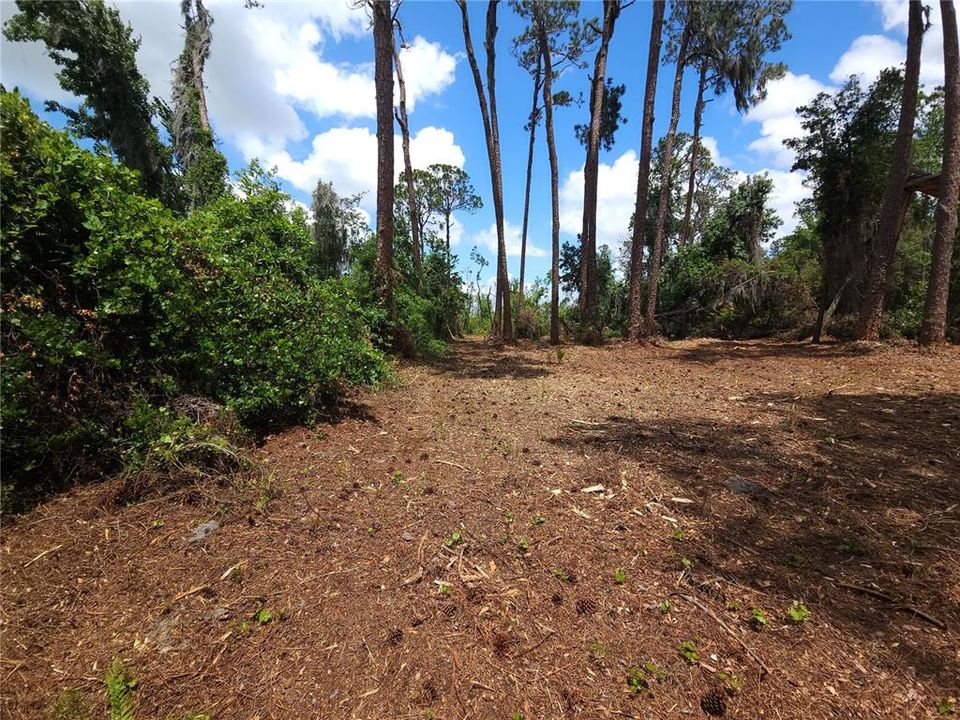 Под контрактом: $245,000 (2.50 acres)