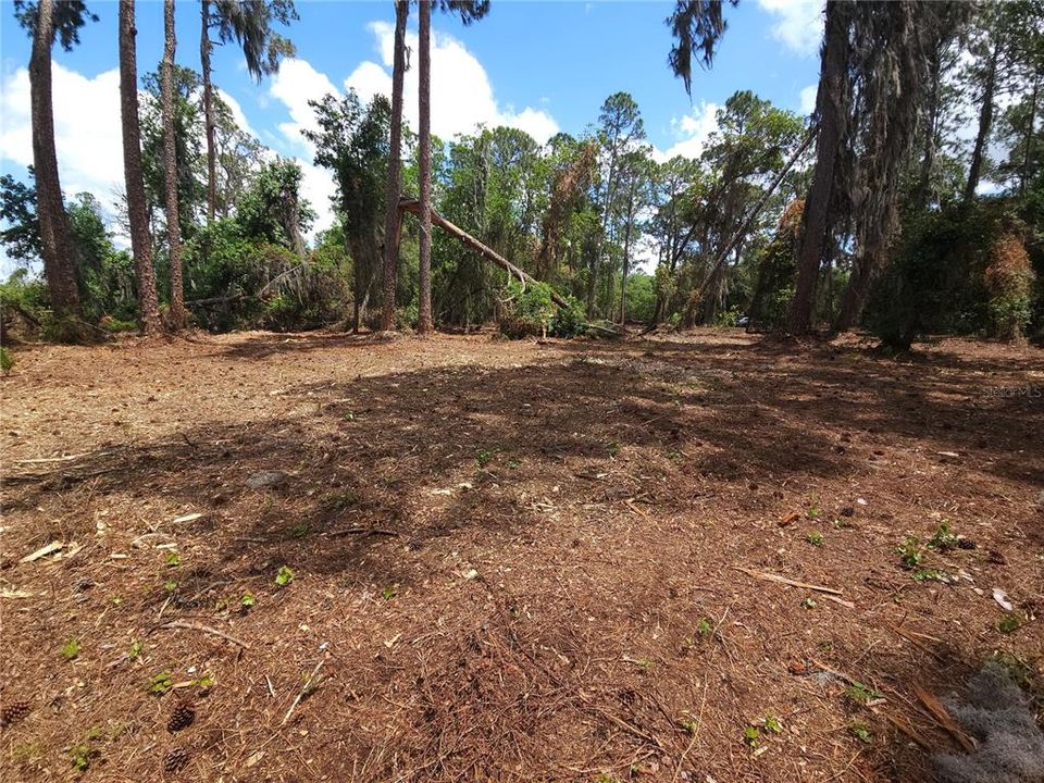 Под контрактом: $245,000 (2.50 acres)