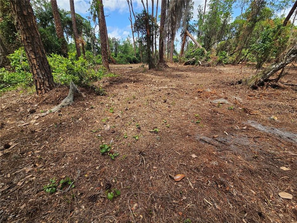 Под контрактом: $245,000 (2.50 acres)