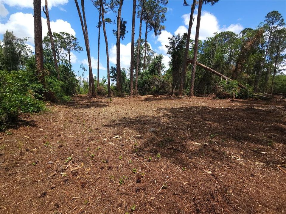 Под контрактом: $245,000 (2.50 acres)