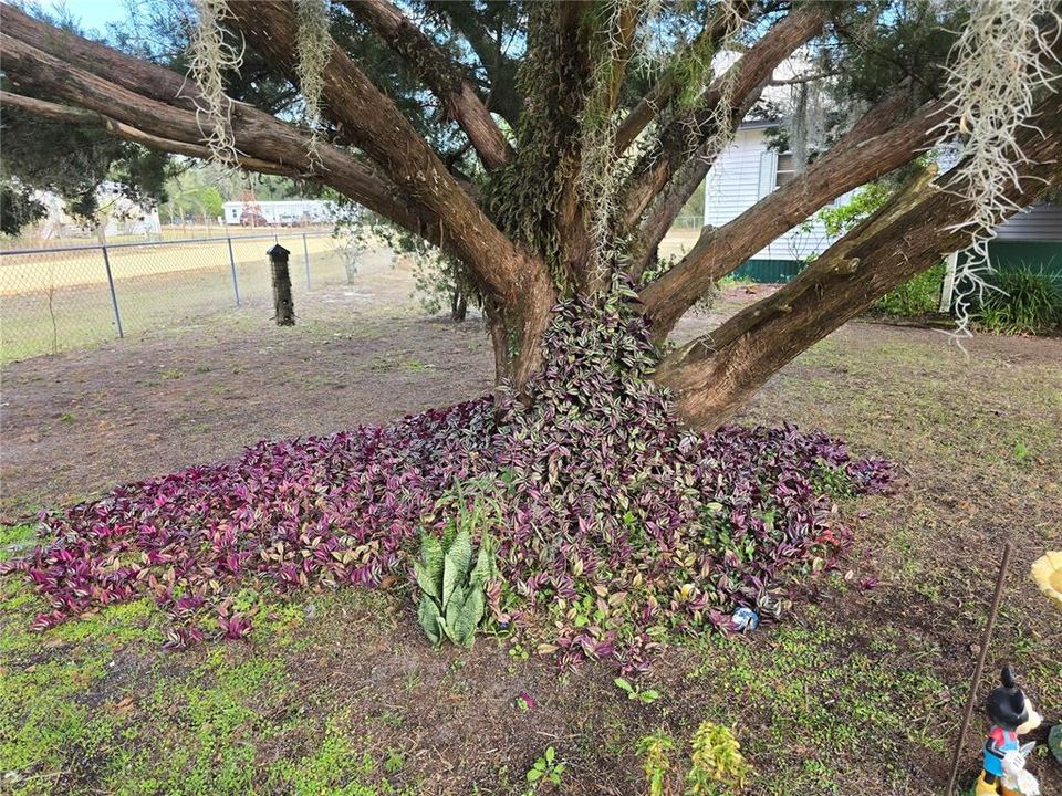 For Sale: $135,900 (3 beds, 2 baths, 1200 Square Feet)