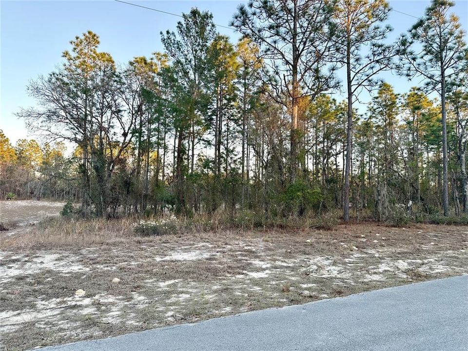 待售: $38,000 (0.23 acres)