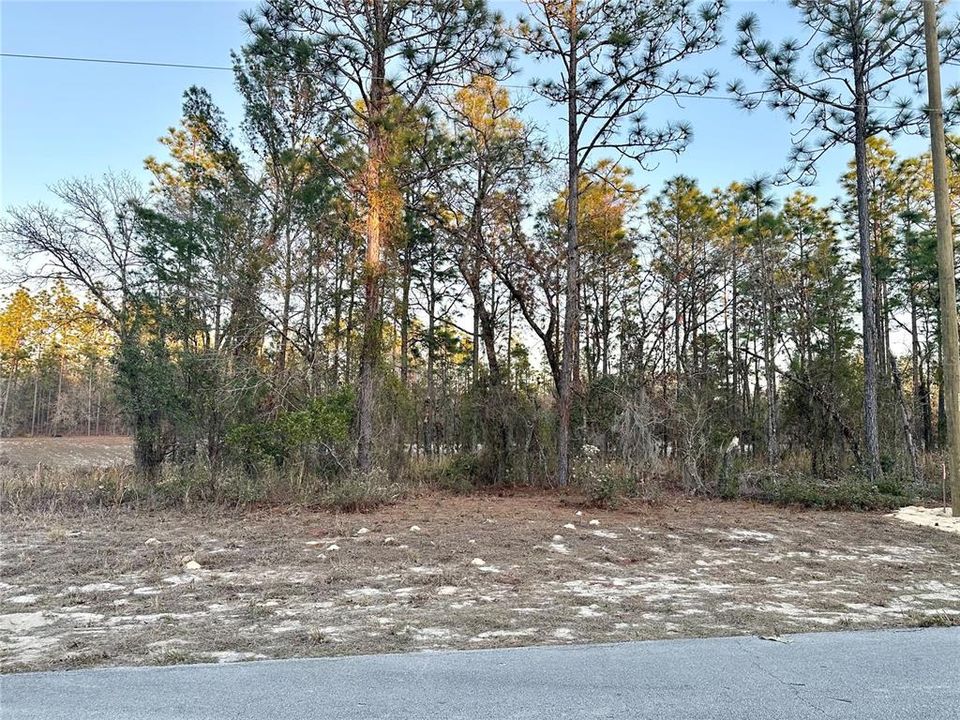 待售: $38,000 (0.23 acres)