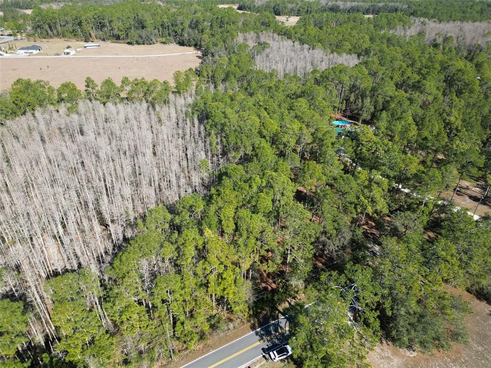 En Venta: $65,000 (2.76 acres)