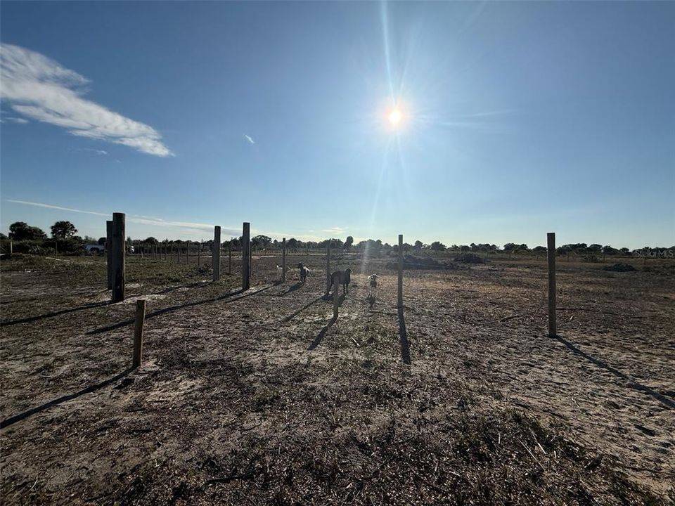 For Sale: $119,900 (2.50 acres)