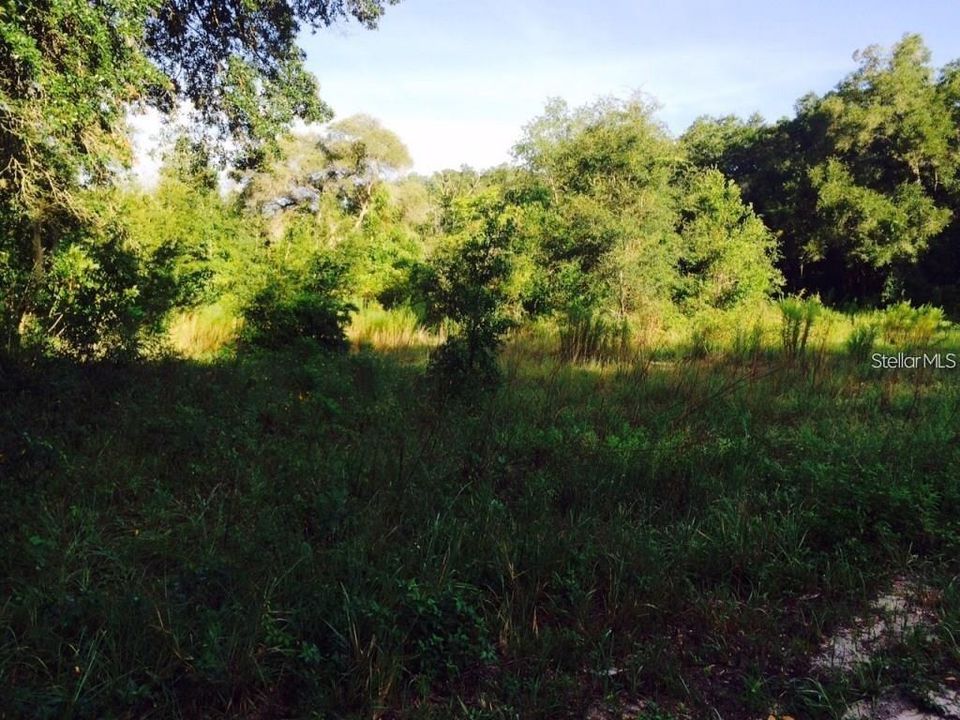 待售: $17,999 (0.19 acres)