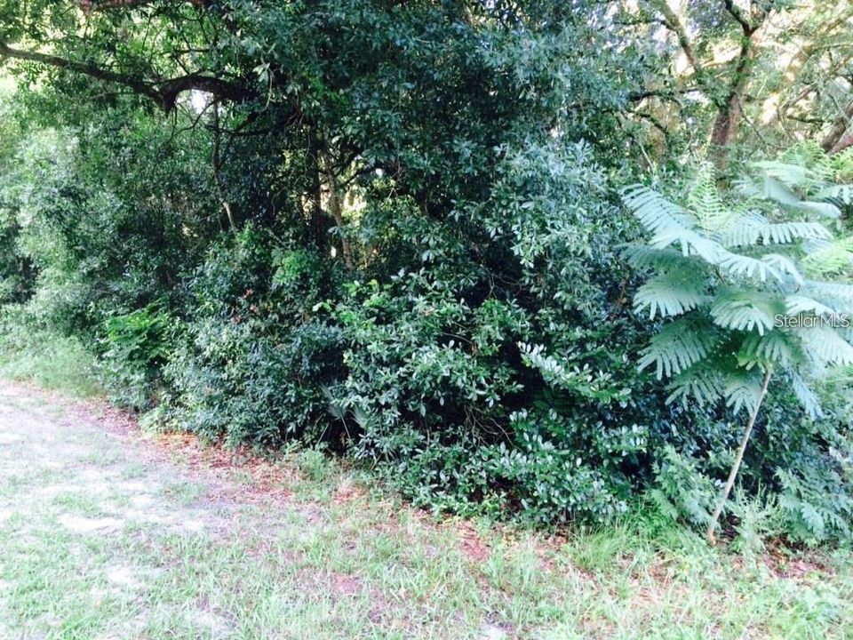 待售: $17,999 (0.19 acres)