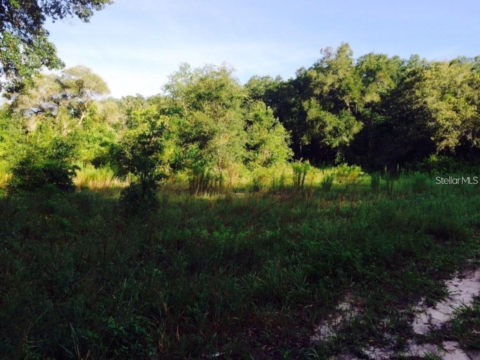 待售: $17,999 (0.19 acres)