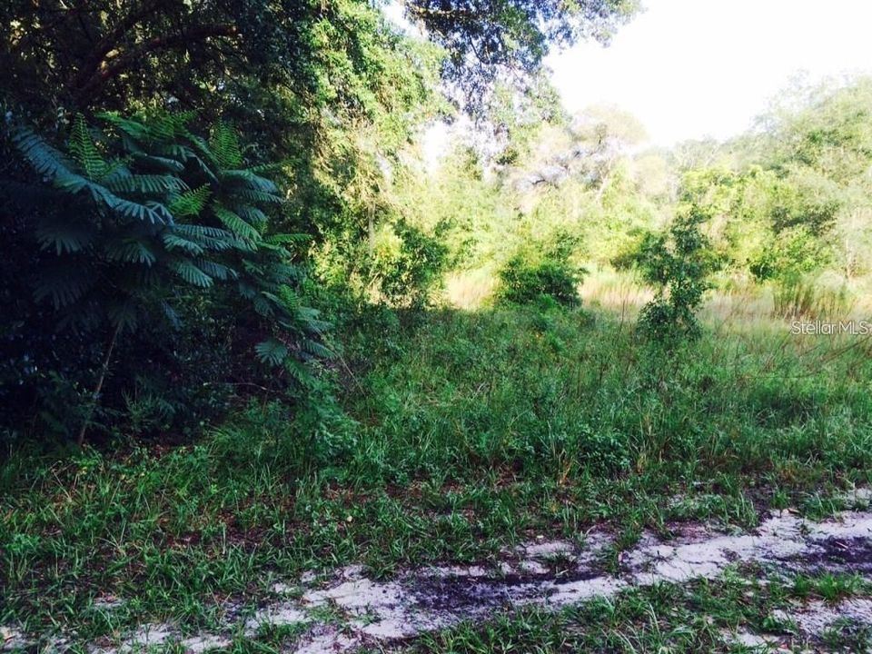 待售: $17,999 (0.19 acres)