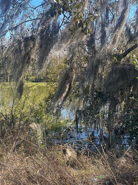 待售: $39,000 (1.69 acres)