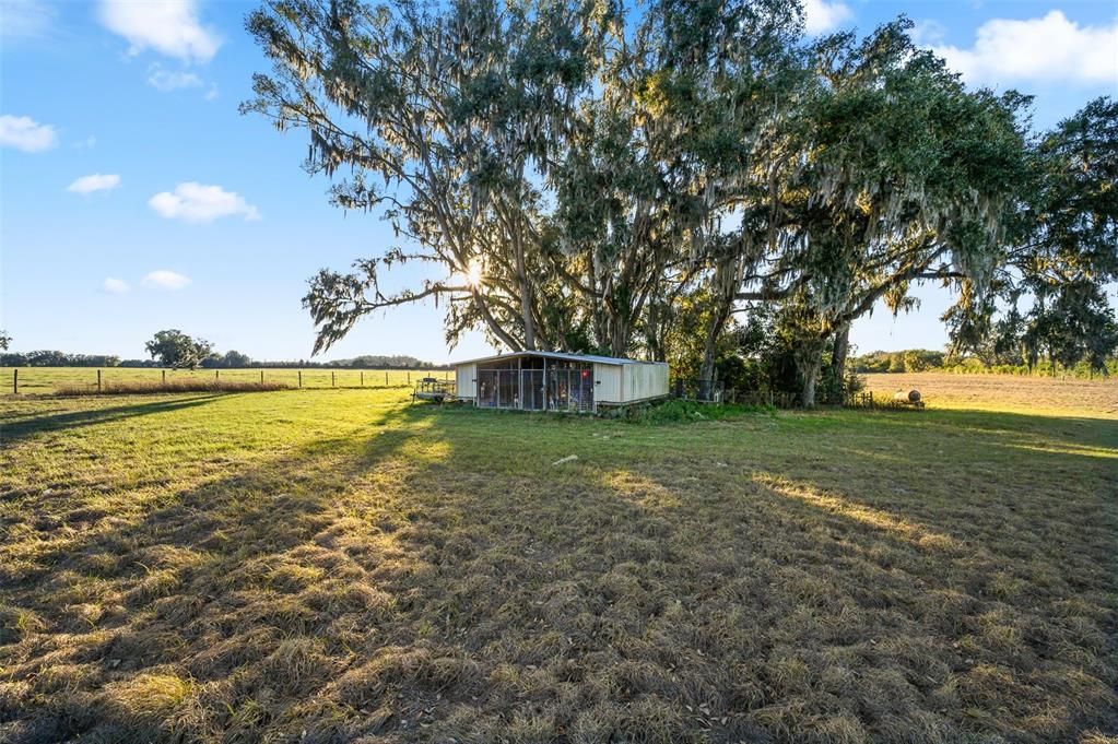 En Venta: $280,500 (9.84 acres)