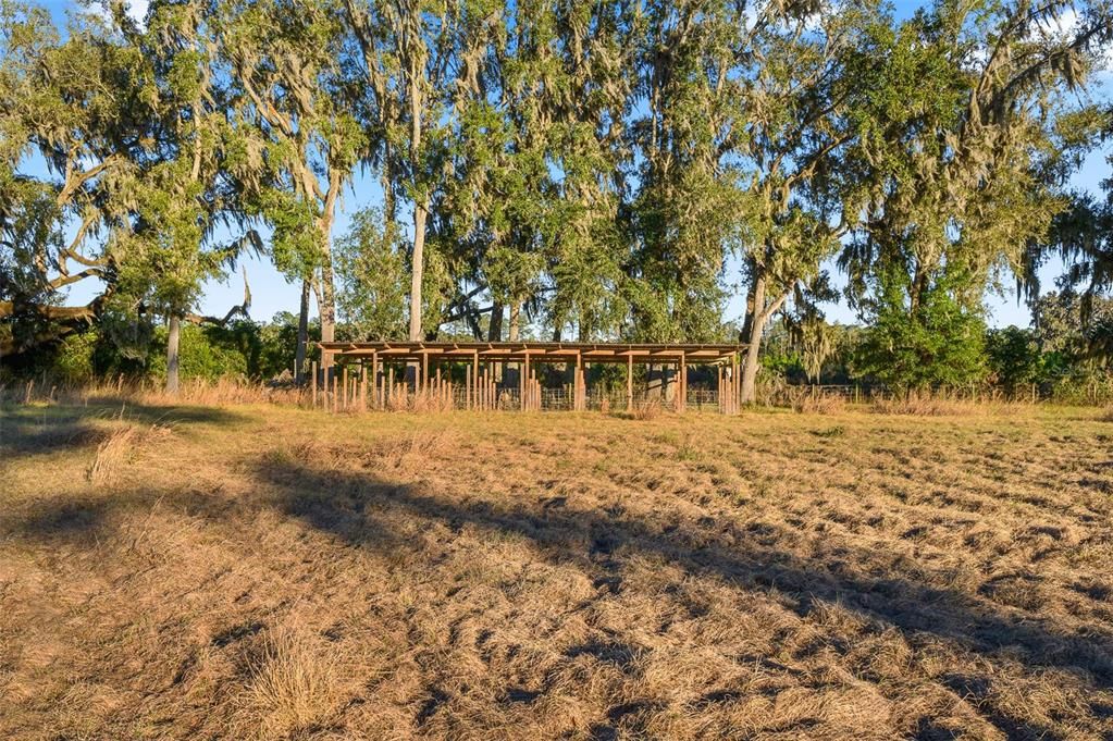 En Venta: $280,500 (9.84 acres)