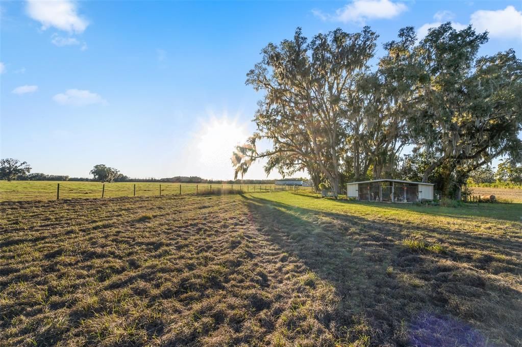 En Venta: $280,500 (9.84 acres)