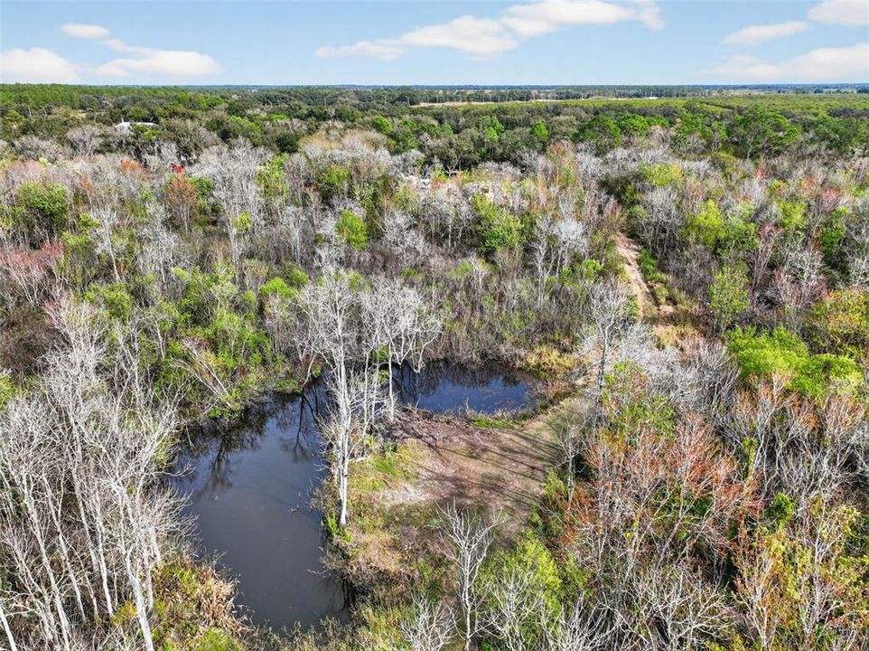 待售: $225,000 (4.67 acres)