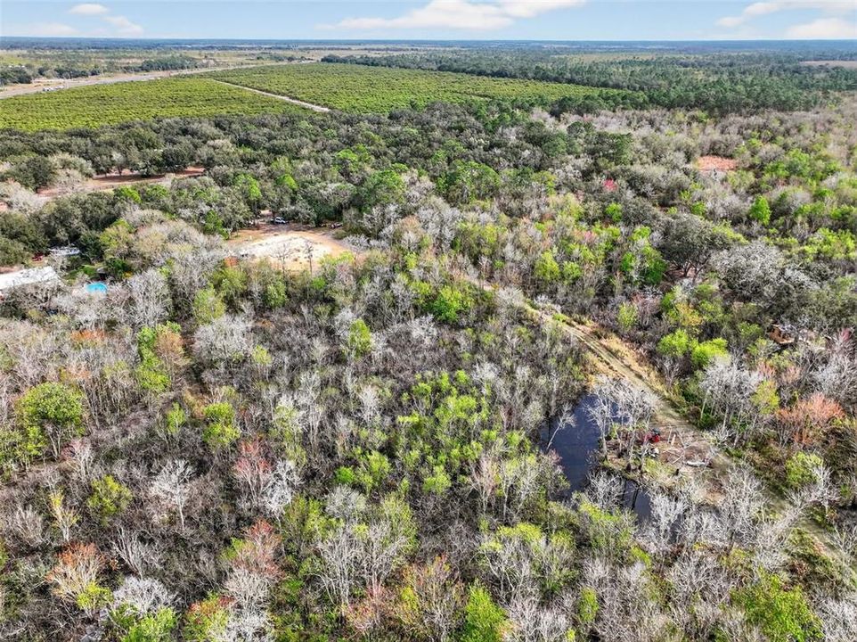 待售: $225,000 (4.67 acres)