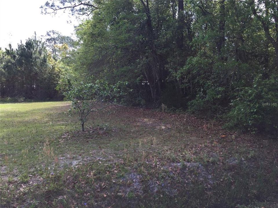 For Sale: $65,000 (0.28 acres)