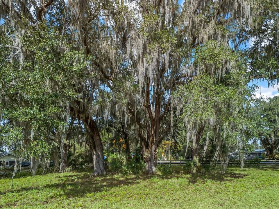 待售: $105,000 (1.03 acres)