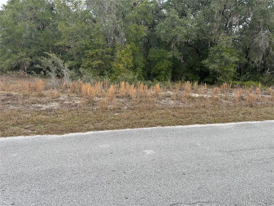 На продажу: $92,500 (1.34 acres)