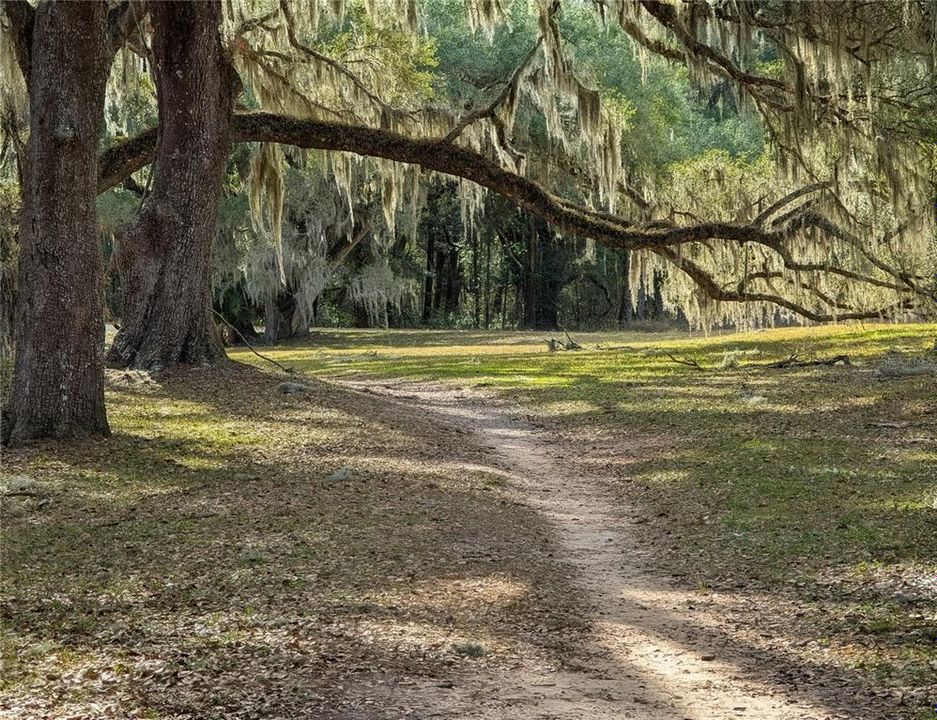 待售: $24,000 (0.22 acres)