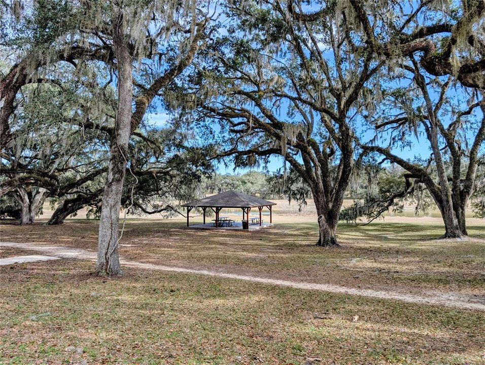 待售: $24,000 (0.22 acres)