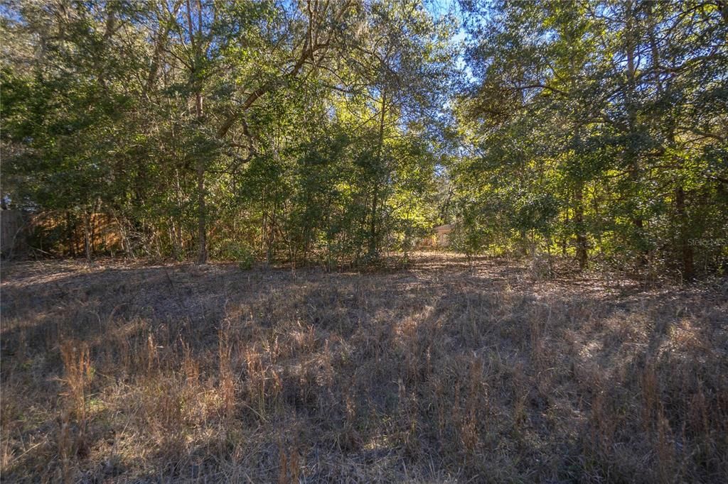 待售: $24,000 (0.22 acres)