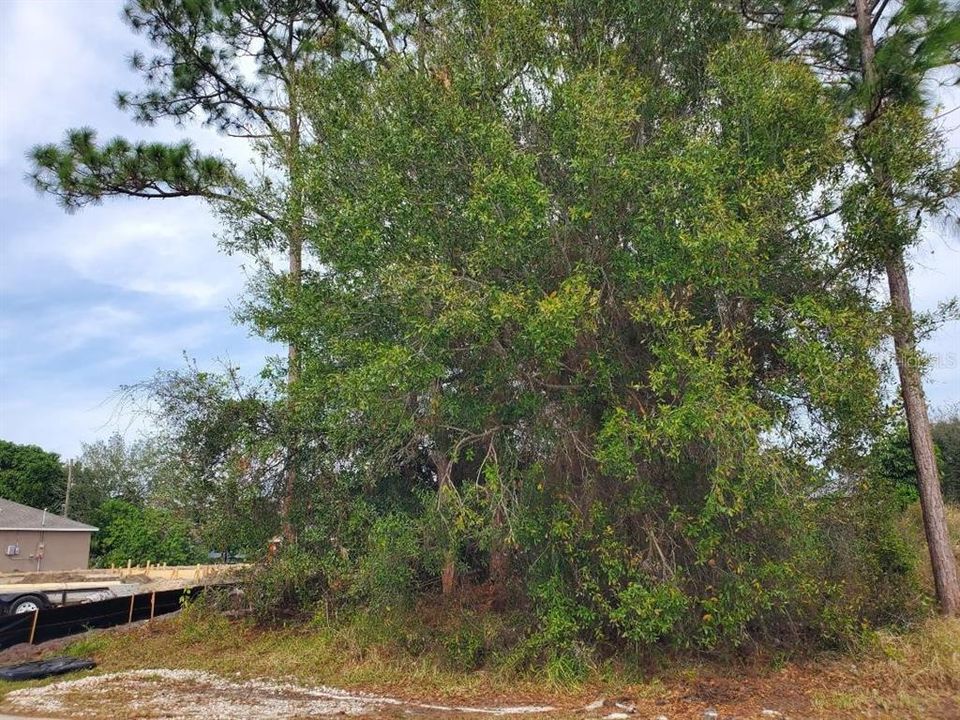 En Venta: $165,000 (0.24 acres)