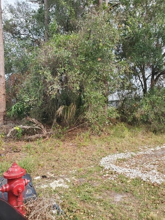 En Venta: $165,000 (0.24 acres)