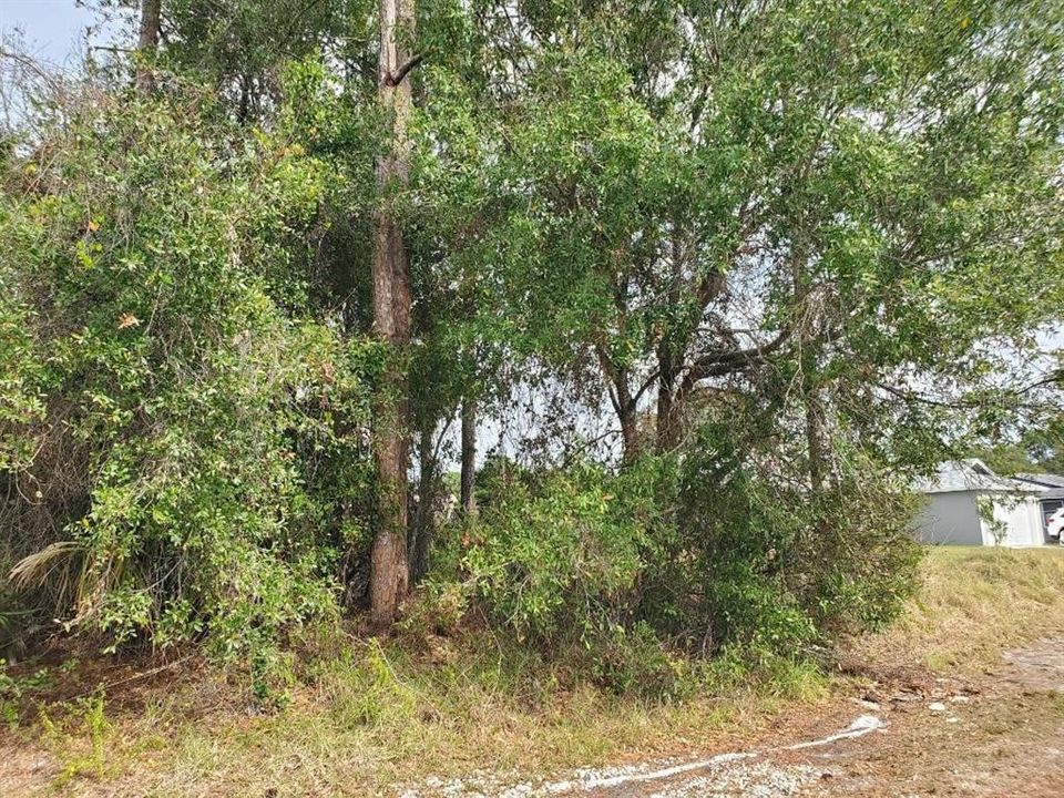 En Venta: $165,000 (0.24 acres)