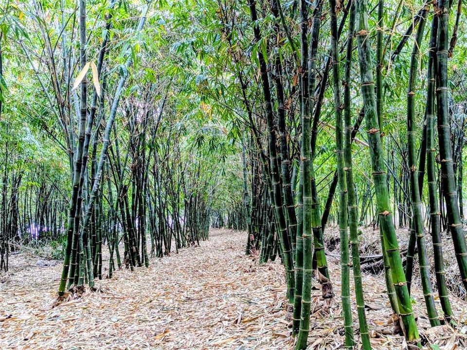 На продажу: $495,000 (14.14 acres)
