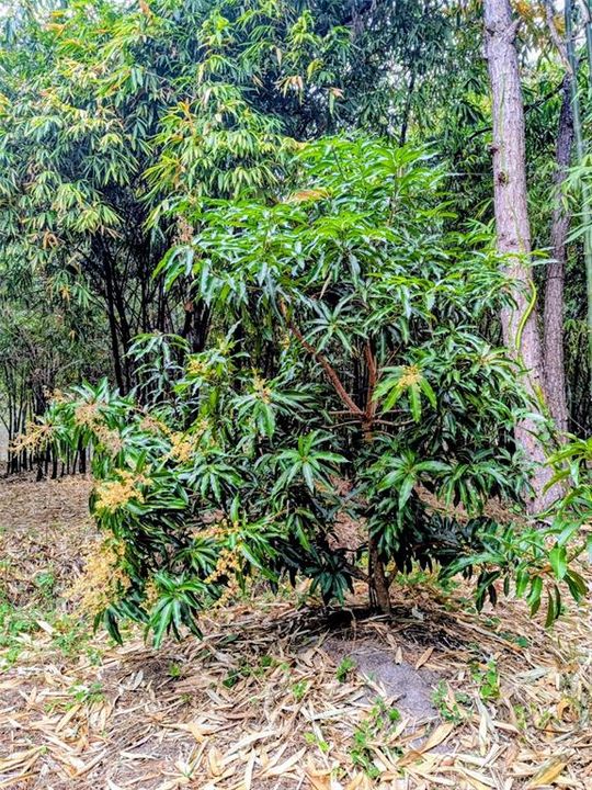 На продажу: $495,000 (14.14 acres)