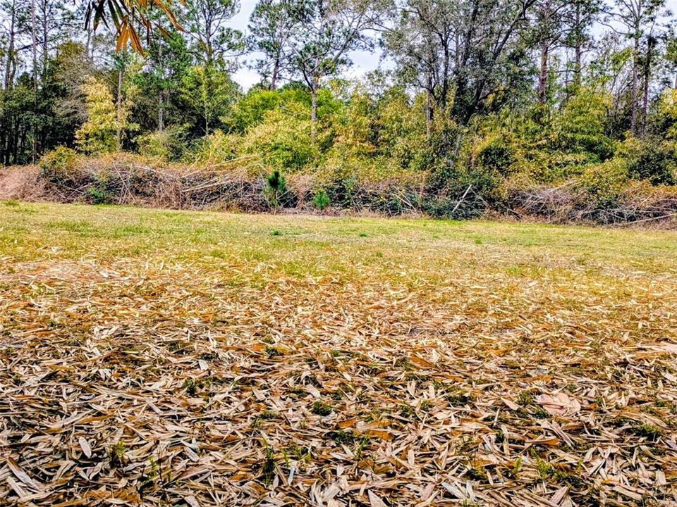 На продажу: $495,000 (14.14 acres)