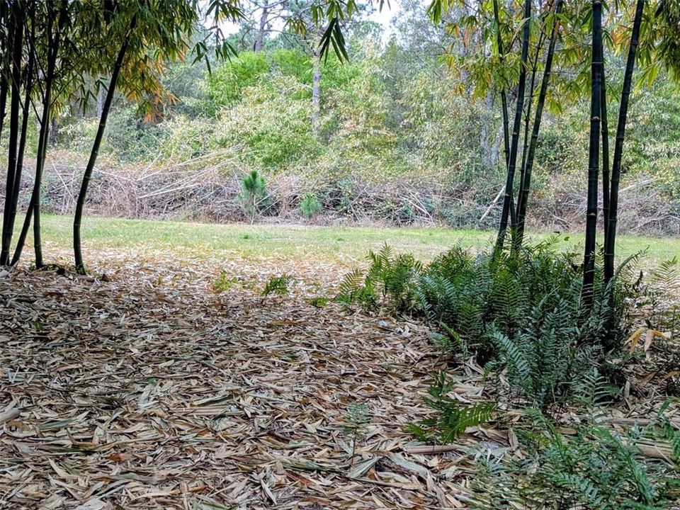 На продажу: $495,000 (14.14 acres)