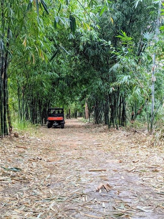На продажу: $495,000 (14.14 acres)