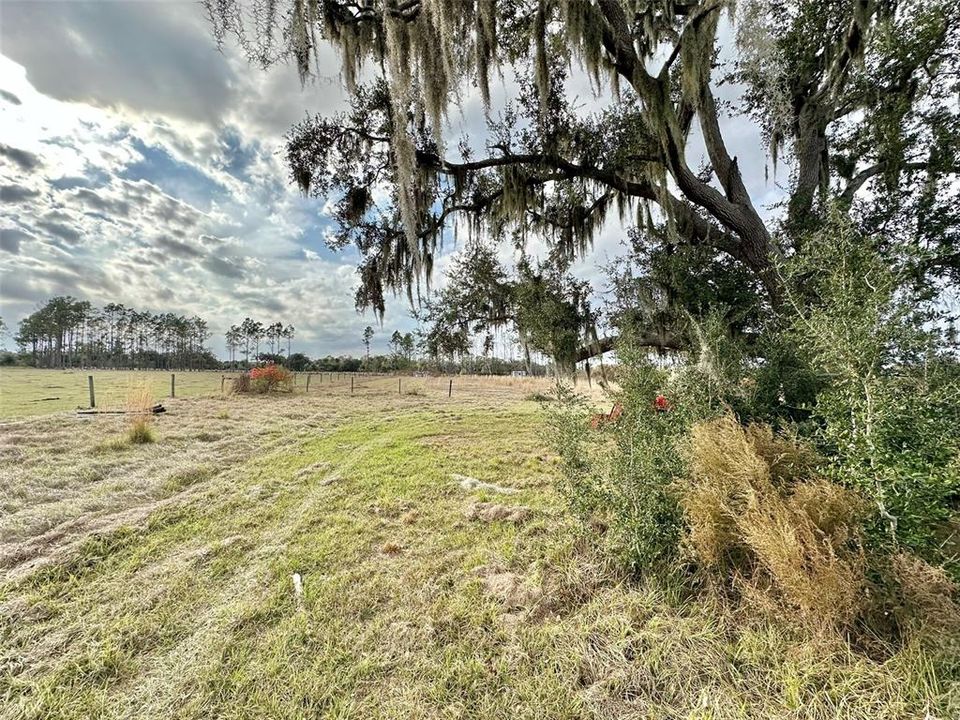 На продажу: $350,000 (6.95 acres)