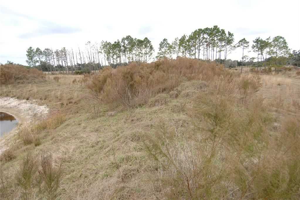 На продажу: $350,000 (6.95 acres)